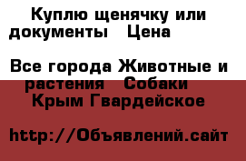 Куплю щенячку или документы › Цена ­ 3 000 - Все города Животные и растения » Собаки   . Крым,Гвардейское